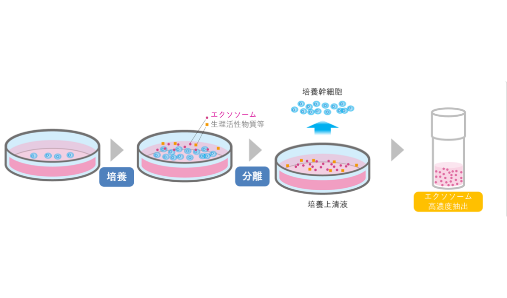 幹細胞上清液/エクソソーム点滴 | 医療脱毛・シミ治療 幹細胞上清液/エクソソーム点滴 | 医療脱毛・シミ治療