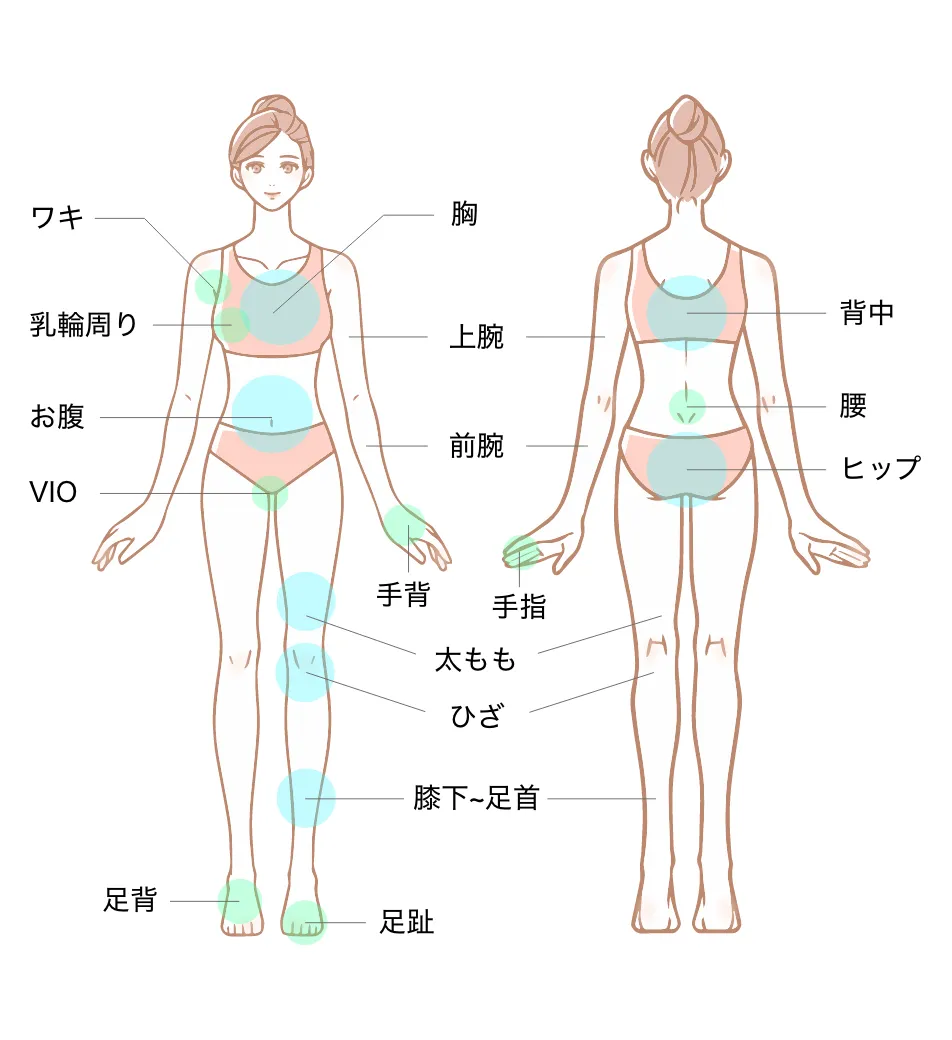 医療脱毛 施術範囲（女性・全身＋VIO）：胸・上腕・前腕・手背・手指・ワキ・乳輪周り・お腹・VIO・太もも・ひざ・膝下〜足首・足背・足趾・うなじ・背中・腰・ヒップ