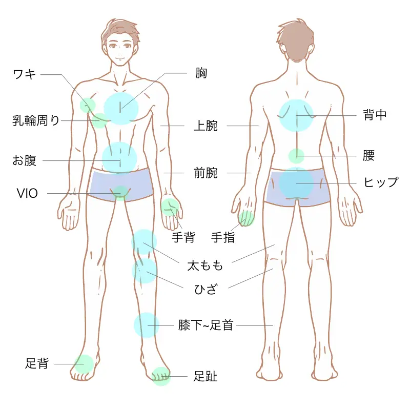 医療脱毛 施術範囲（男性・全身＋VIO）：胸・上腕・前腕・手背・手指・ワキ・乳輪周り・お腹・VIO・太もも・ひざ・膝下〜足首・足背・足趾・背中・腰・ヒップ
