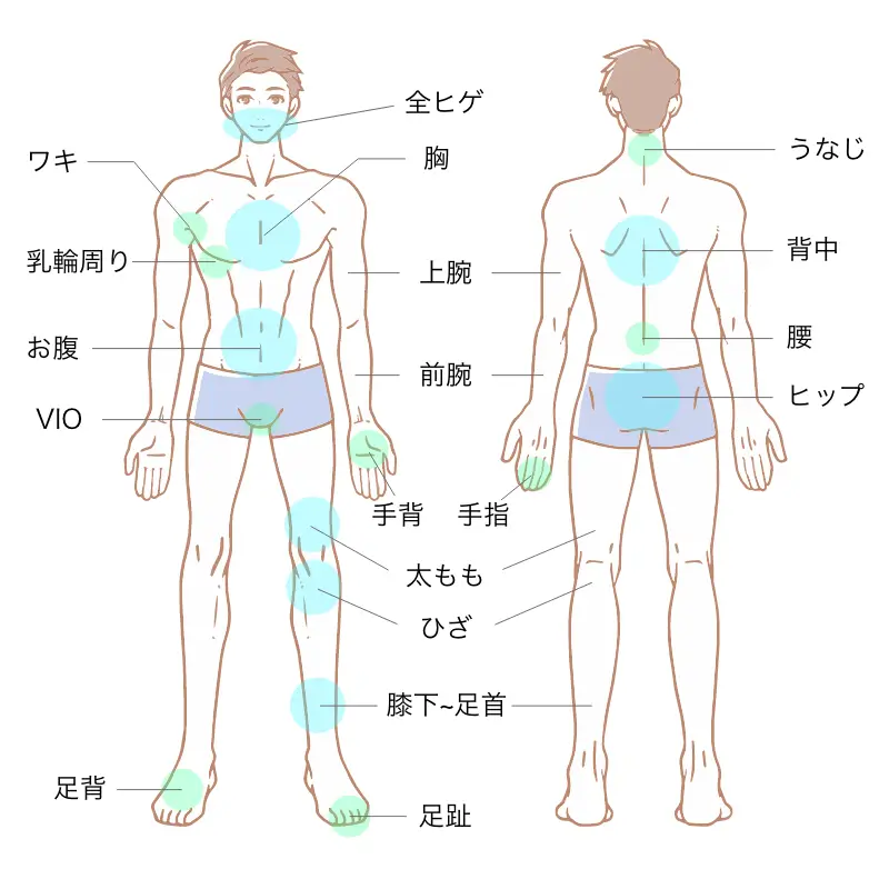 医療脱毛 施術範囲（男性・フルコース）：全ヒゲ・胸・上腕・前腕・手背・手指・ワキ・乳輪周り・お腹・VIO・太もも・ひざ・膝下〜足首・足背・足趾・うなじ・背中・腰・ヒップ