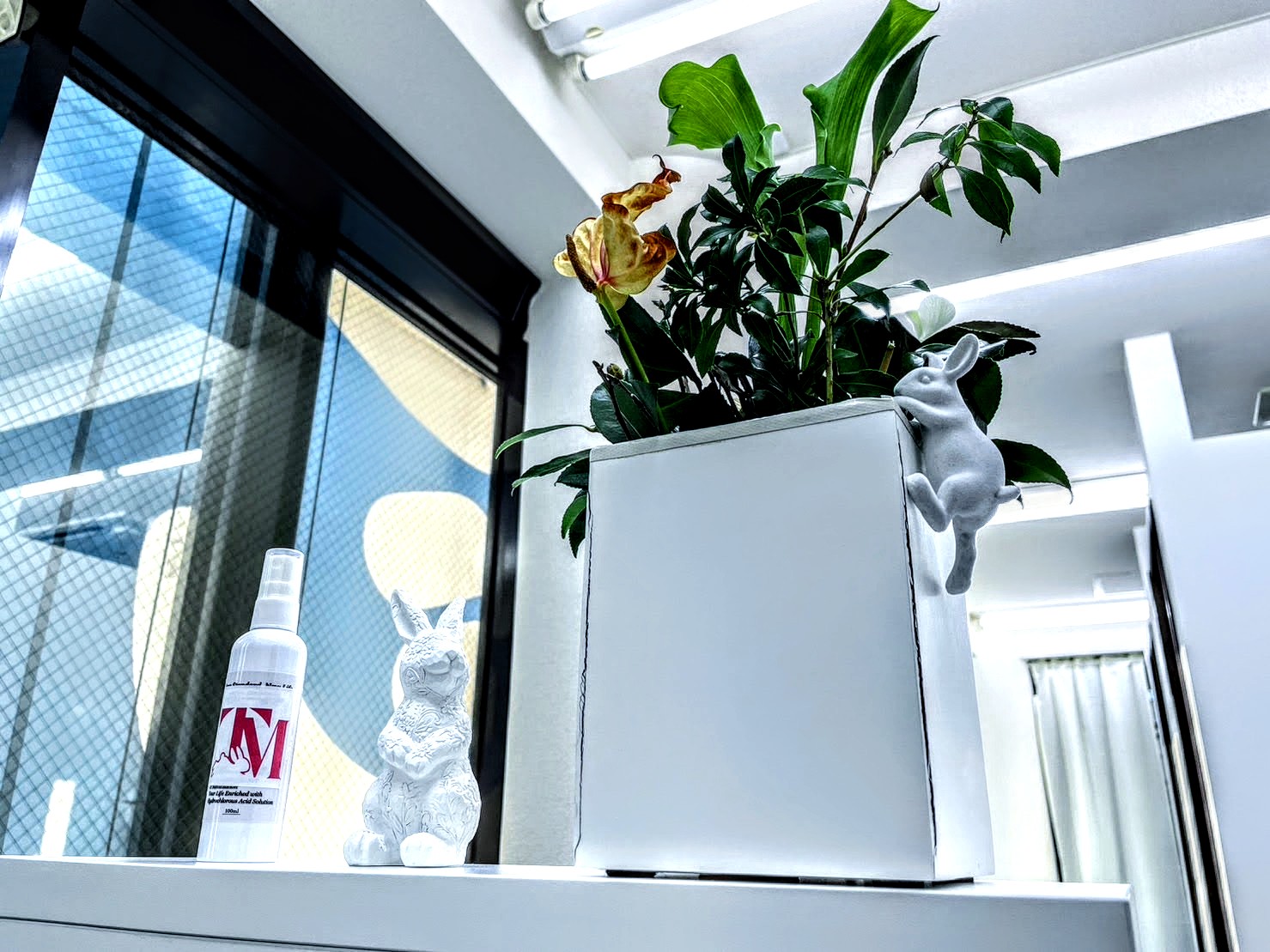 お知らせサムネイル